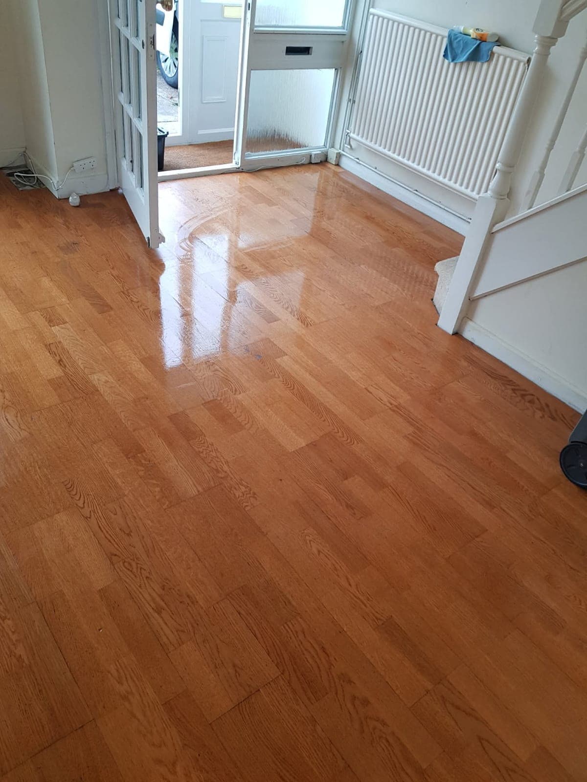 Full biohazard clean — property fully restored